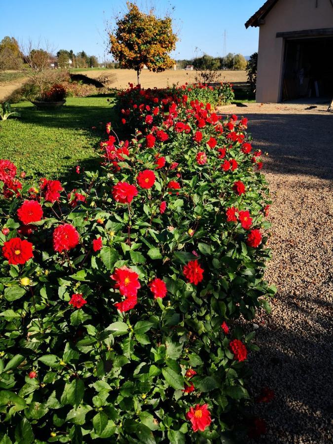 La Ferme De La Terve Bed and Breakfast Bruailles Buitenkant foto