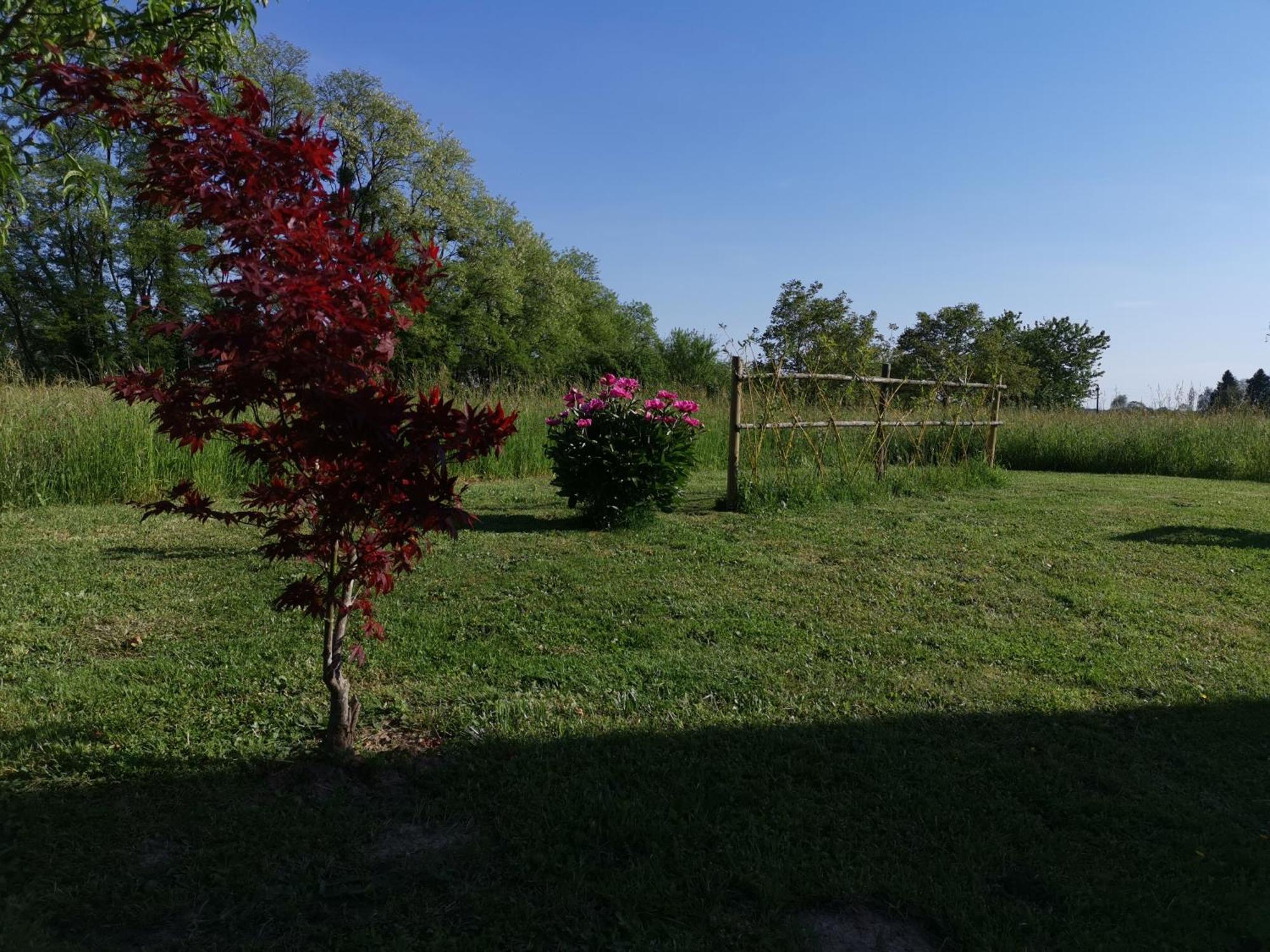 La Ferme De La Terve Bed and Breakfast Bruailles Buitenkant foto